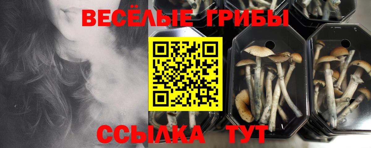 Сорочинск  Галлюциногенные грибы ЛСД  Вход с VPN  Псилоцибиновые грибы Cubensis 