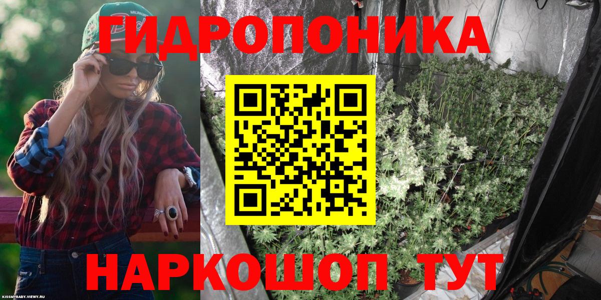 Бошки марихуана сатива  Марихуана THC 21%  Вход с VPN  Сорочинск 
